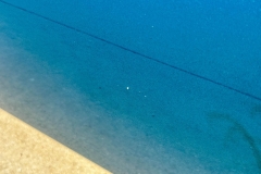 1966_Chevrolet_Chevelle_LF_2025-08-19.0161