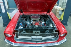 1967_Ford_Mustang_TP_2023-03-07.0058
