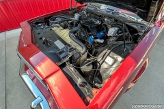 1977_Buick_Regal_CN_2025-09-03.0009