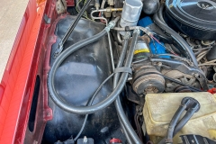 1977_Buick_Regal_CN_2025-09-03.0011