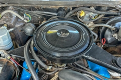 1977_Buick_Regal_CN_2025-09-03.0013