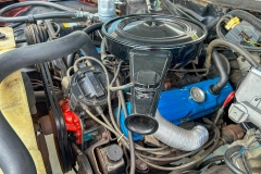 1977_Buick_Regal_CN_2025-09-03.0019