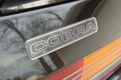 1993_Ford_Mustang_Cobra_TT_2015.03.09_0551